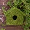 7&#x22; Classic Decorative Moss Birdhouse by Ashland&#xAE;
